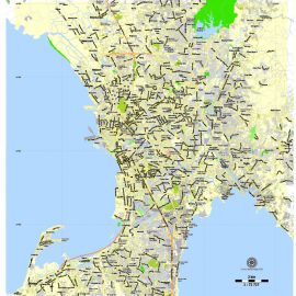 Vector map Manila Grande Philippines 13 ai