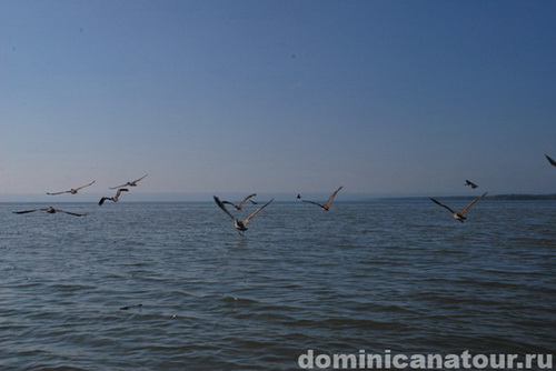 map dominicana photo