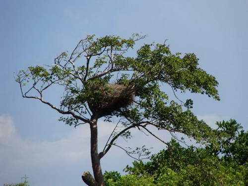 map dominicana photo