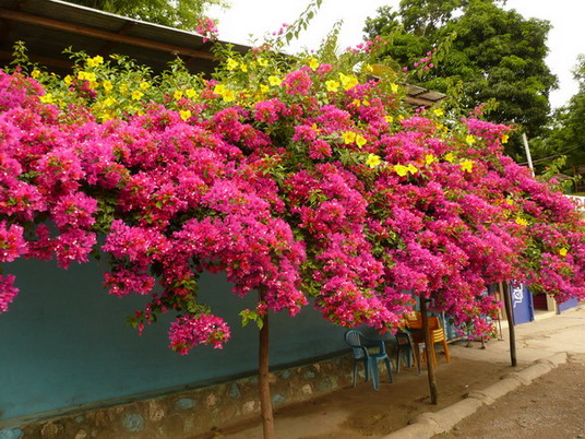 La Romana review map, republica dominicana