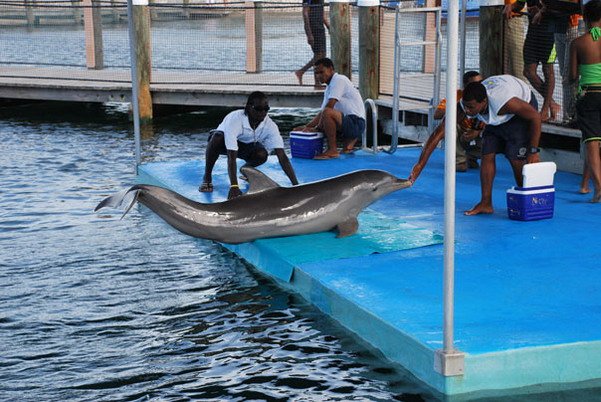 Punta Cana review map, republica dominicana