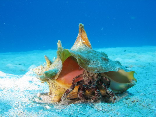 Punta Cana review map, republica dominicana