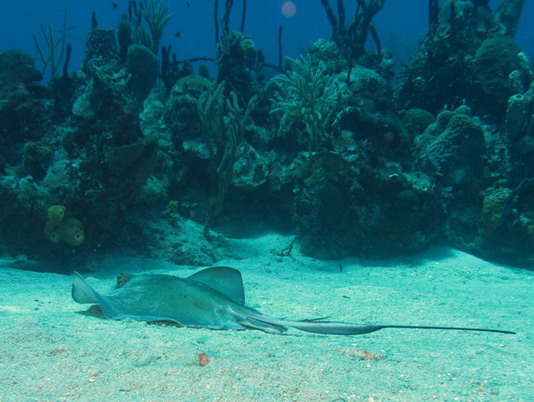 Punta Cana review map, republica dominicana