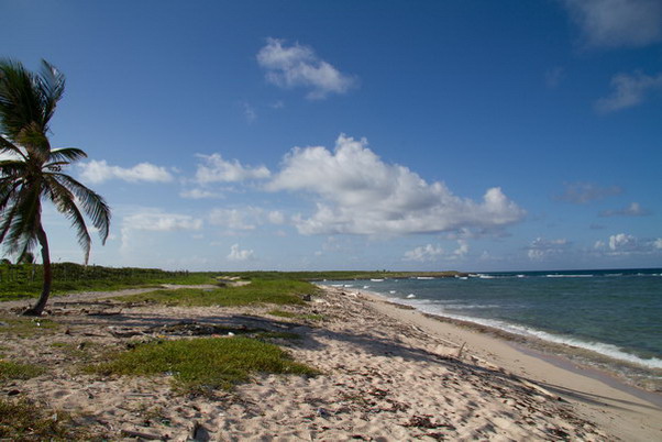 Punta Cana review map, republica dominicana