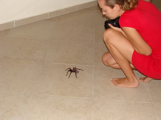 Punta Cana review map, republica dominicana