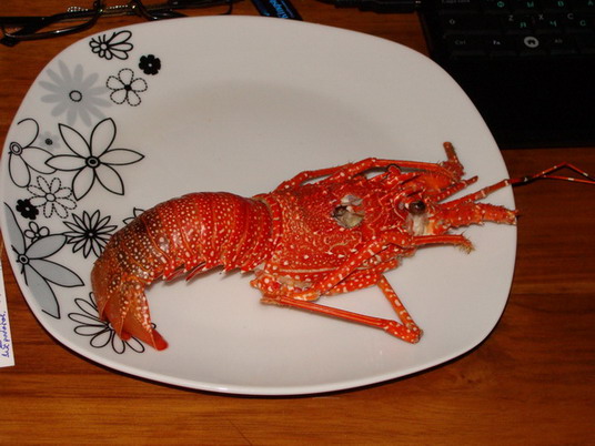 Punta Cana review map, republica dominicana