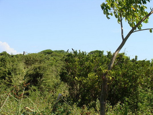 Punta Cana review map, republica dominicana