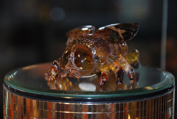 santo domingo review map, republica dominicana