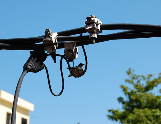 santo domingo review map, republica dominicana