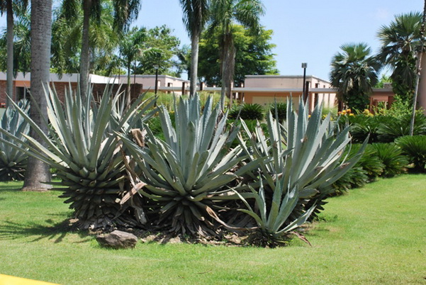 santo domingo review map, republica dominicana