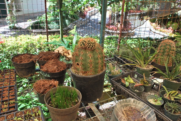 santo domingo review map, republica dominicana