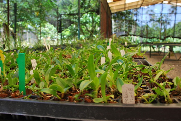 santo domingo review map, republica dominicana