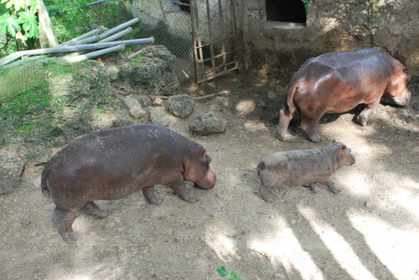 santo domingo review map, republica dominicana