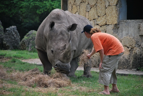 santo domingo review map, republica dominicana