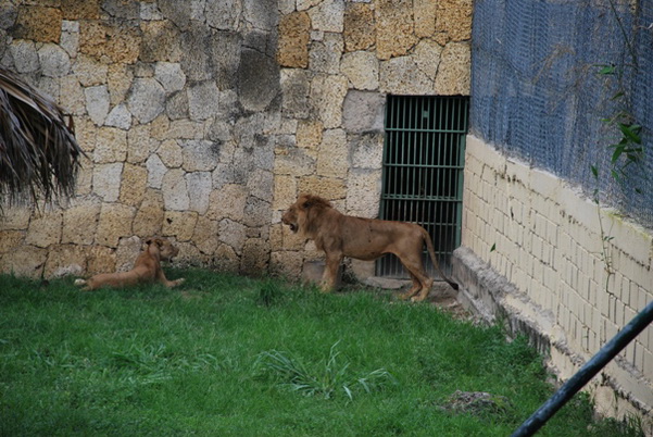 santo domingo review map, republica dominicana
