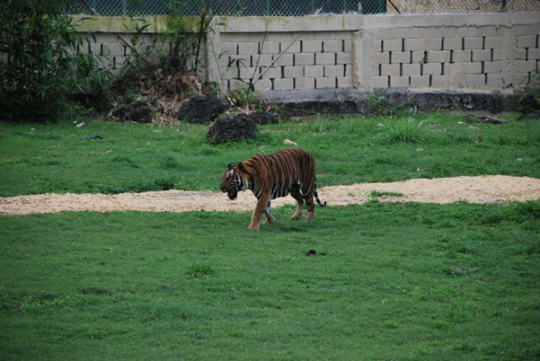 santo domingo review map, republica dominicana