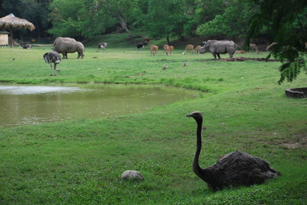 santo domingo review map, republica dominicana