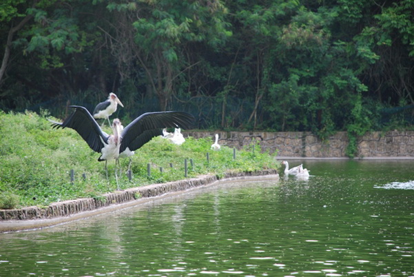 santo domingo review map, republica dominicana
