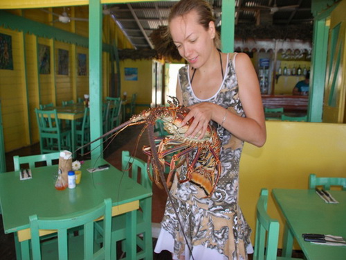 free road map Dominican Republic