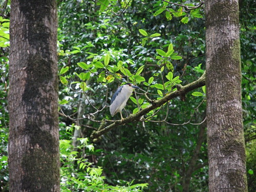 free road map Dominican Republic