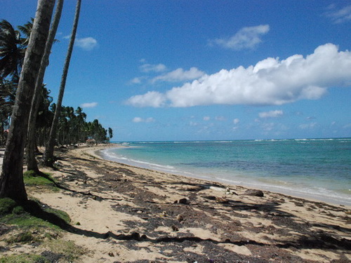 free road map Dominican Republic