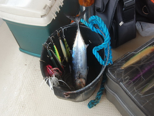 free road map Dominican Republic