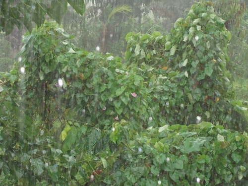 free road map Dominican Republic