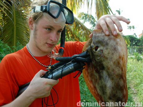 free road map Dominican Republic