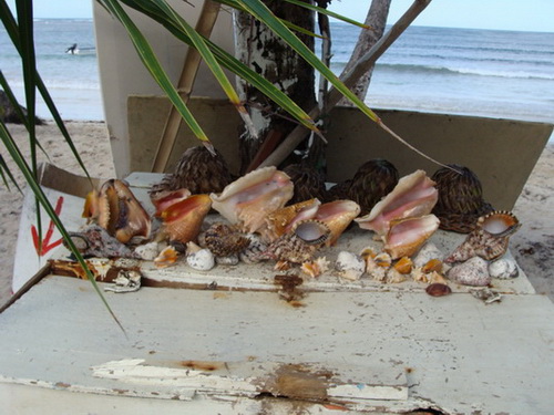 free road map Dominican Republic