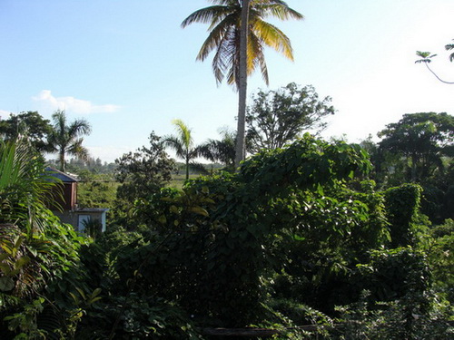 free road map Dominican Republic