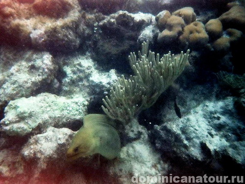 free road map Dominican Republic