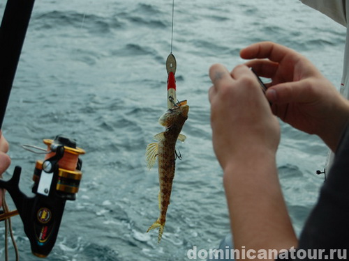 free road map Dominican Republic