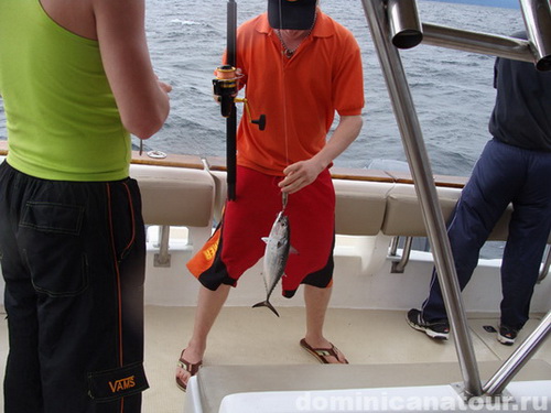 free road map Dominican Republic