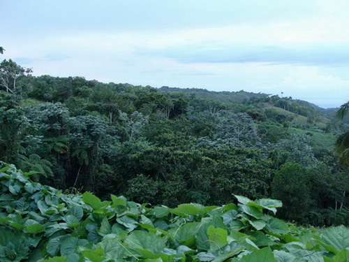 free road map Dominican Republic