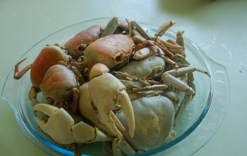 road street map republica dominicana santo domingo map punta cana map 