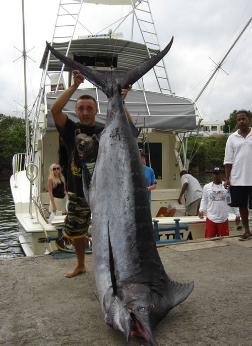 road street map republica dominicana santo domingo map punta cana map 