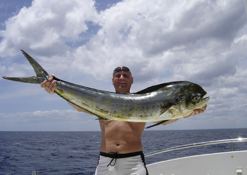 road street map republica dominicana santo domingo map punta cana map 