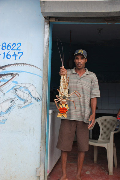 road street map republica dominicana santo domingo map punta cana map 