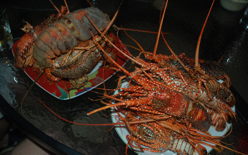 road street map republica dominicana santo domingo map punta cana map 