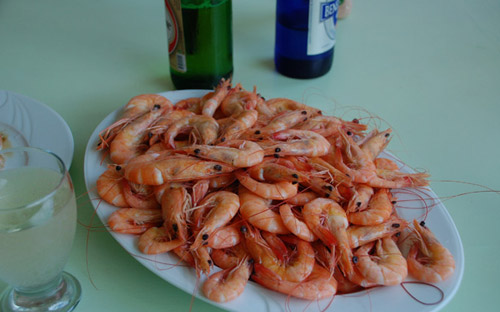 road street map republica dominicana santo domingo map punta cana map 