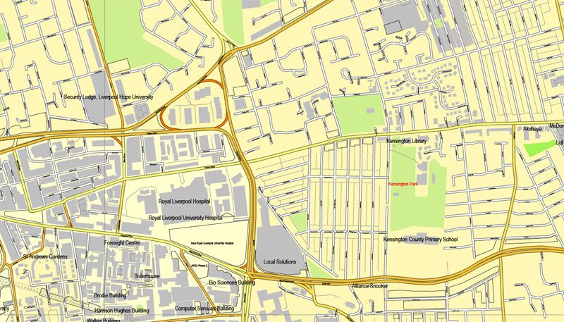 map_liverpool_uk_cityplan_2,5mx2,5m_ai_4