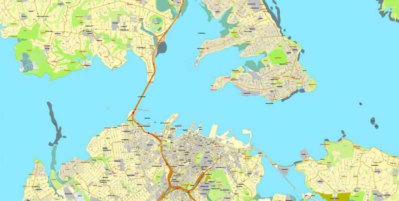 Printable Map of Auckland, New Zealand, exact vector street City Plan map, fully editable, Adobe Illustrator, full vector, scalable, editable, text format street names, 21 Mb ZIP