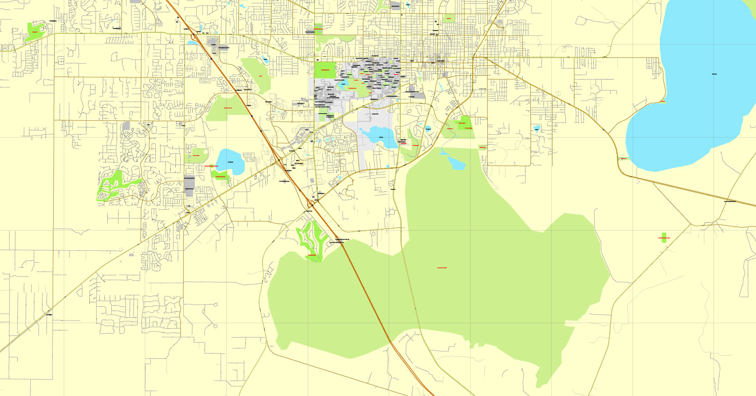 Vector map Gainesville Florida