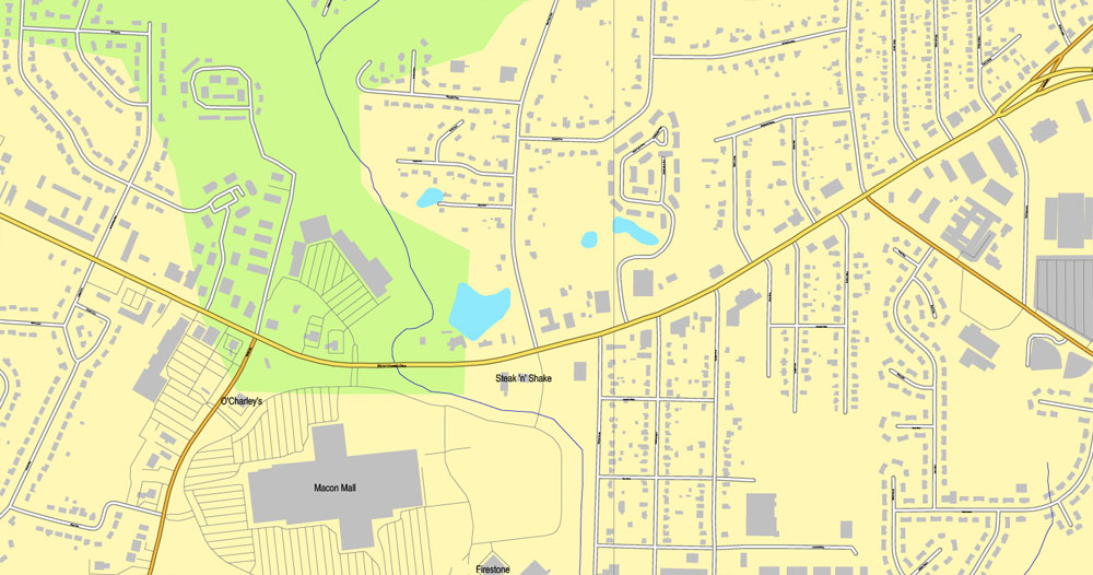 Pdf map Macon Georgia PDF