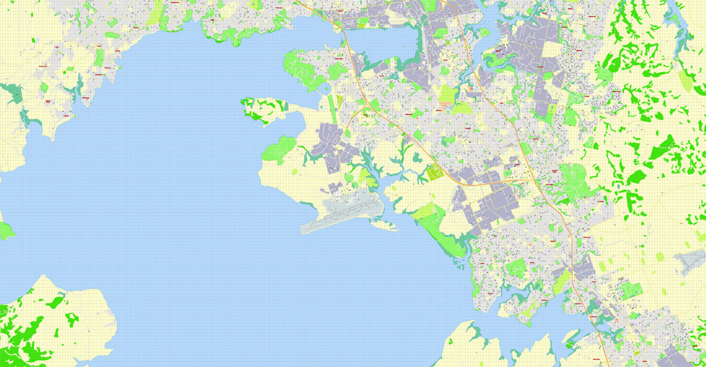 Auckland, New Zealand, Printable Map, exact vector street map, G-View fully editable, Adobe Illustrator, V3.11, Level 17 (100 meters), full vector, scalable, editable, text format street names, 10 Mb ZIP.