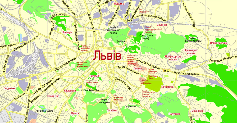 Free vector map Lviv Ukraina