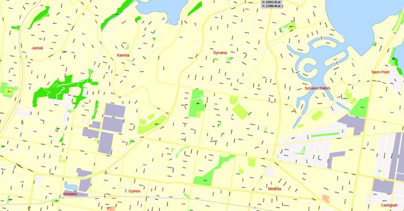 Sydney Vector Map Australia exact printable City Plan editable Adobe Illustrator 100 meters scale Street Map