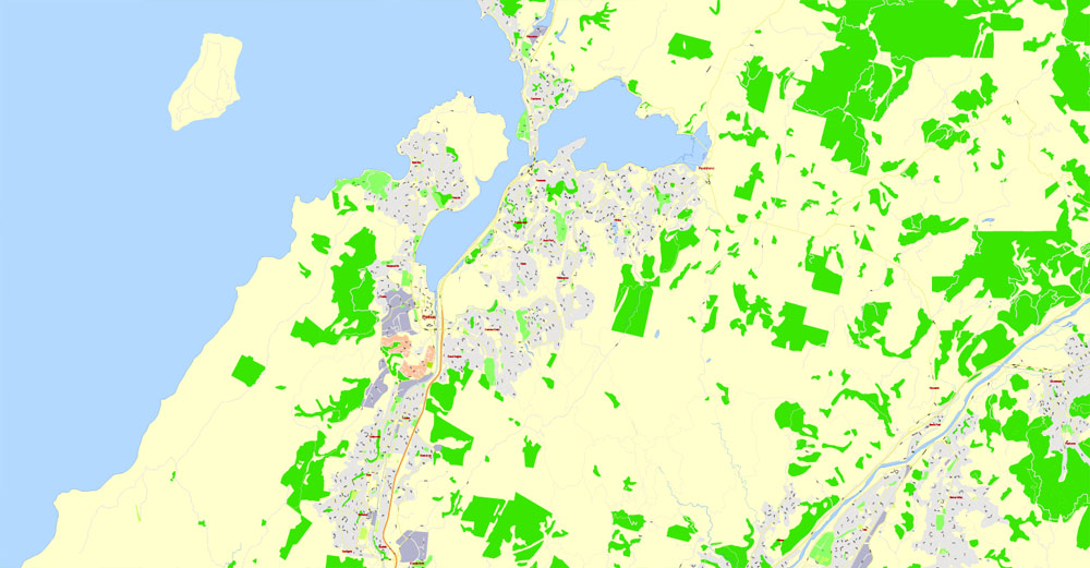 Illustrator map Wellington New Zealand 3 11 Ai