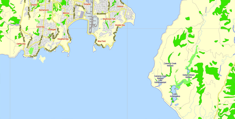 Wellington Printable Map New Zealand exact vector street map fully editable Adobe Illustrator 2000 meters scale