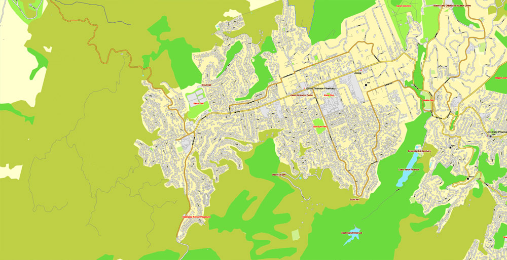 Pdf map Wellington New Zealand 3 11 PDF
